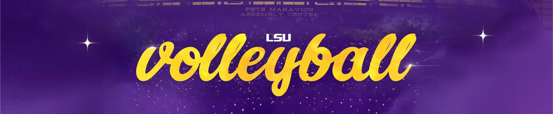 Support LSU Volleyball banner